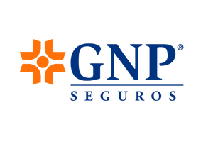 GNP
